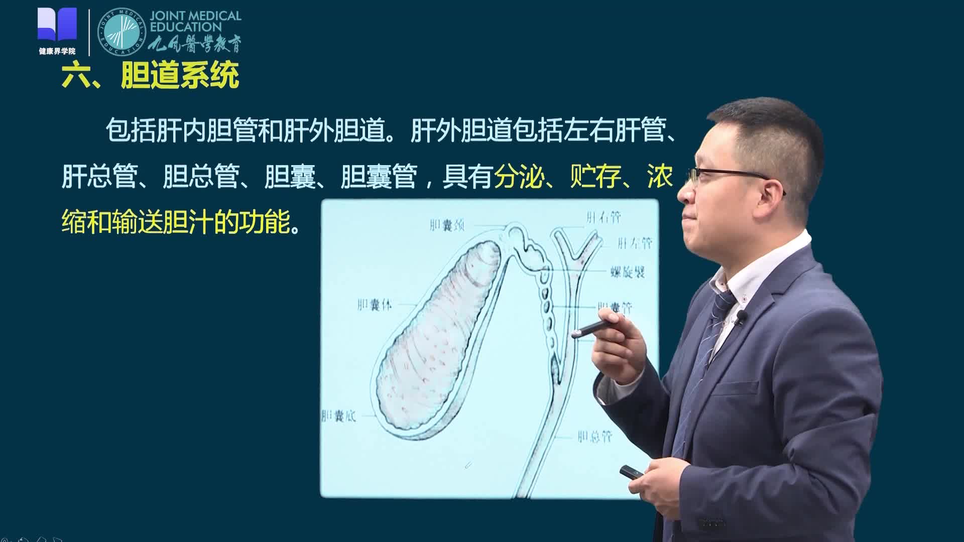 第一节 消化系统解剖生理2/2