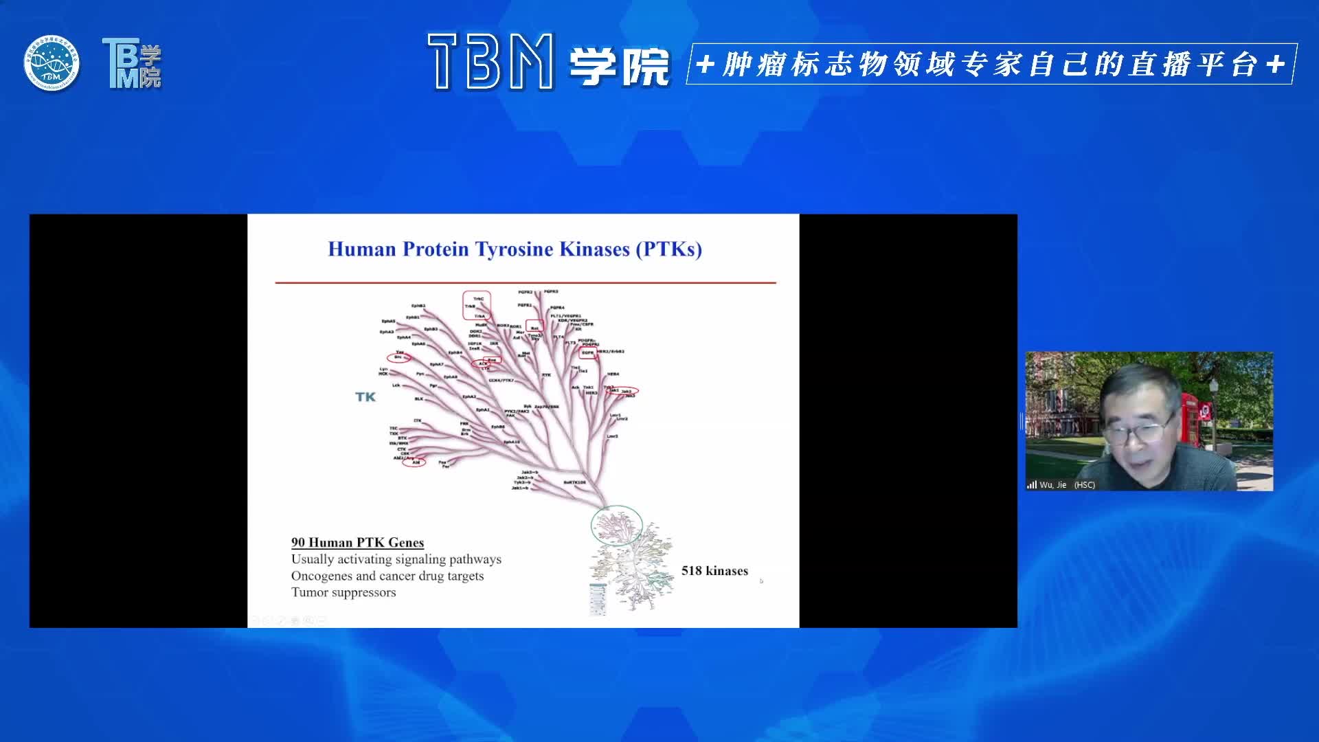 光镊与DNA折纸技术在细胞器互作研究中的应用