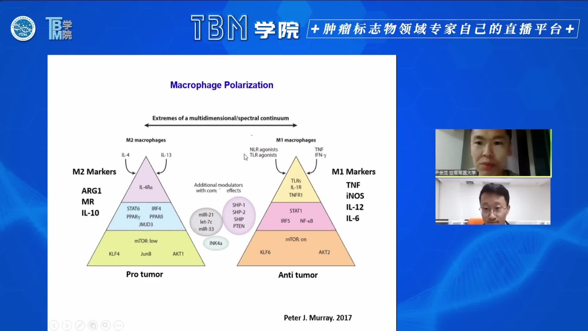 m6A修饰调控巨噬细胞参与肿瘤进展的机制研究