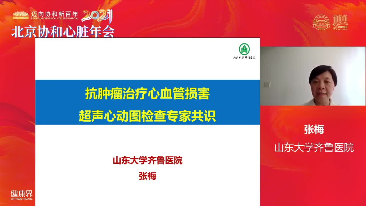 抗肿瘤治疗心血管损害超声心动图检查专家共识