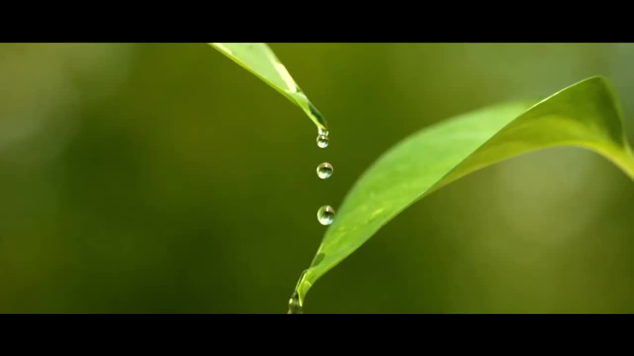 疫后谋篇 质量管理新主张云沙龙