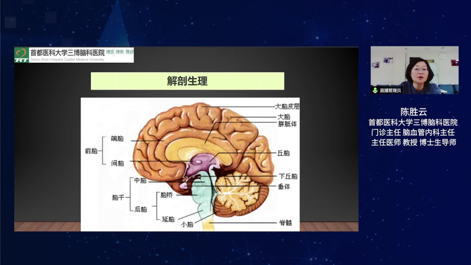 大脑皮层及间脑定位诊断