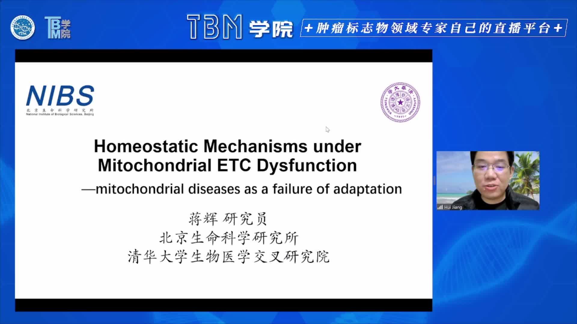 Homeostatic mechanisms under mitochondrial ETC dysfunction